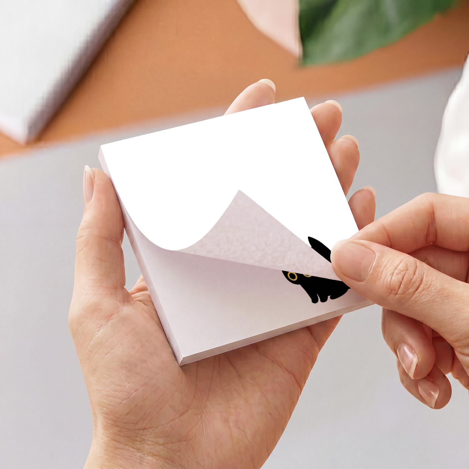 2pcs Cute Black Cat Sticky Not - Sticky Note Dispenser 评论和价格
